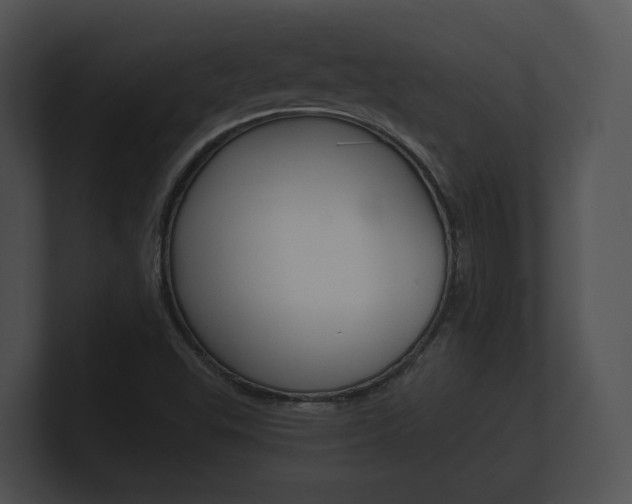 X0000100891503200806240957