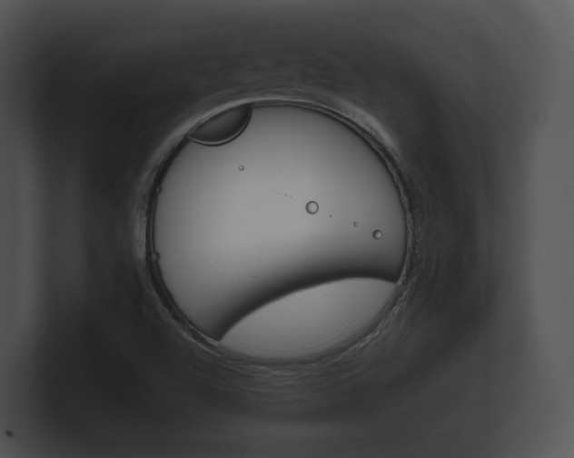 X0000100891504200806240957