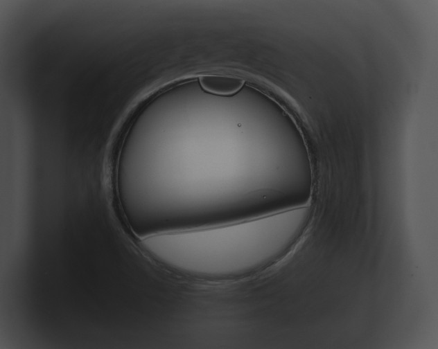 X0000100891506200806240957