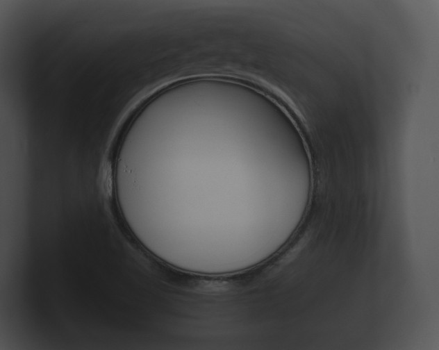 X0000100891509200806240958