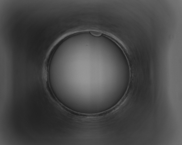 X0000100891510200806240958
