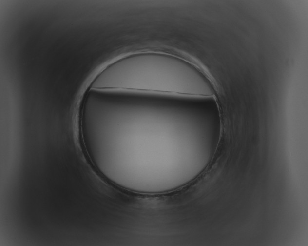 X0000100891512200806240958