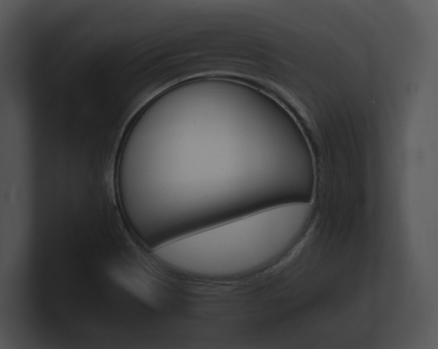 X0000100891513200806240958