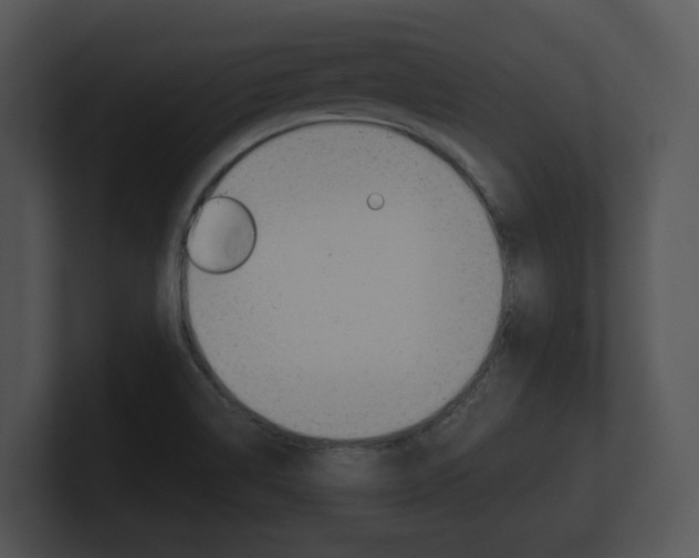 X0000100891514200806240958