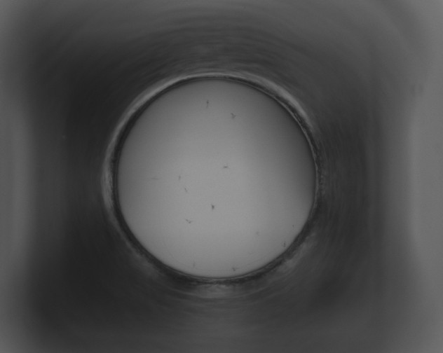 X0000100891517200806240958