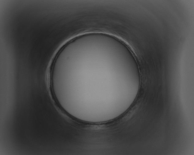 X0000100891519200806240958
