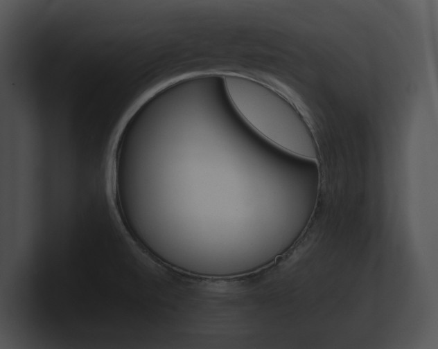 X0000100891520200806240958
