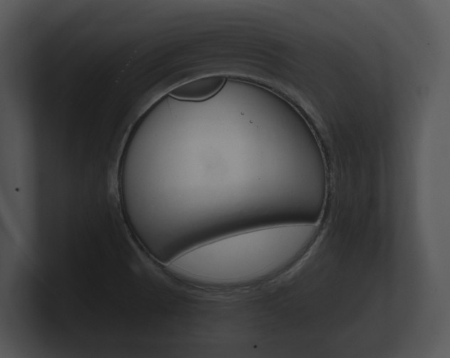 X0000100891521200806240958
