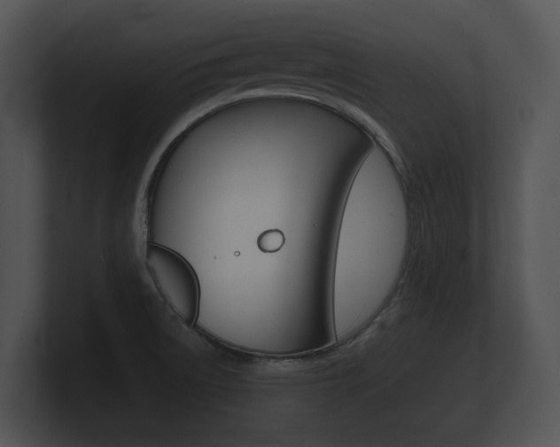 X0000100891522200806240958