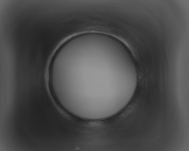 X0000100891523200806240958