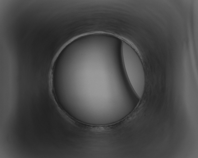 X0000100891524200806240958