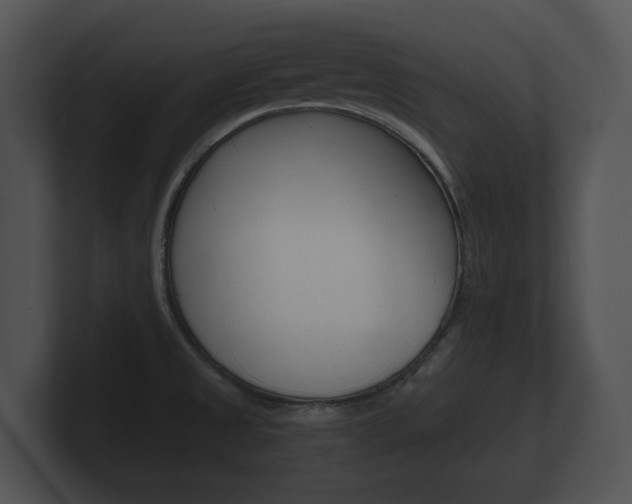 X0000100891525200806240958