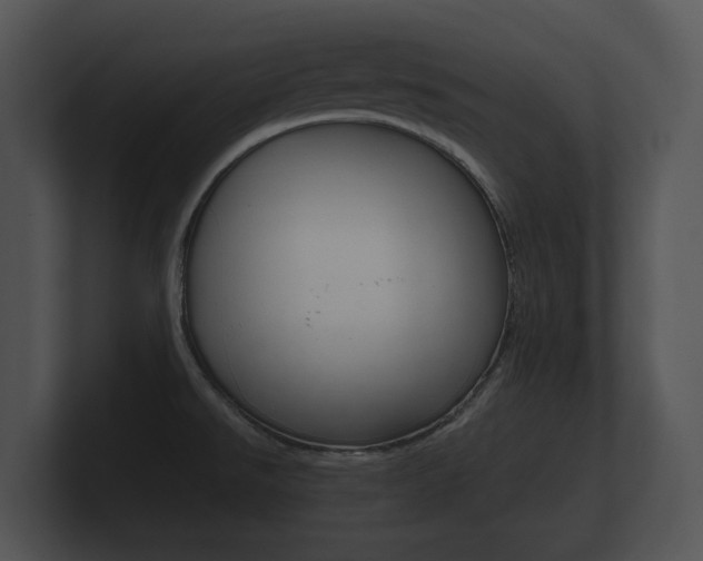 X0000100891526200806240958