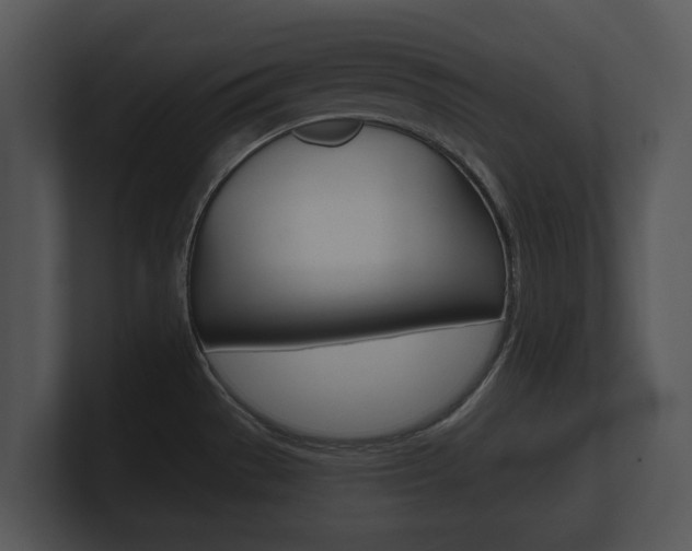 X0000100891529200806240958