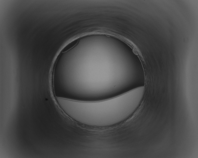 X0000100891530200806240958