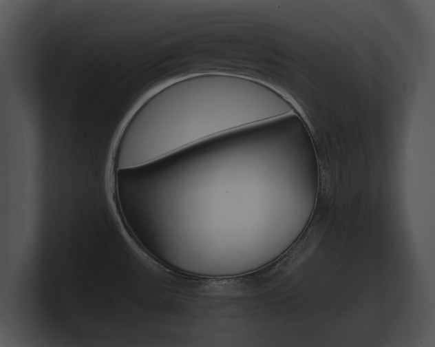 X0000100891531200806240958