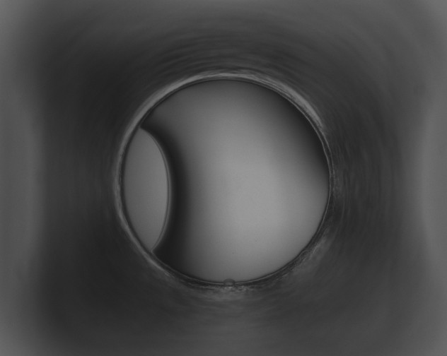 X0000100891533200806240958