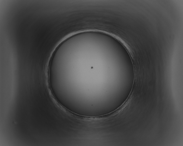 X0000100891534200806240958