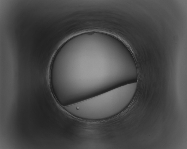 X0000100891535200806240958