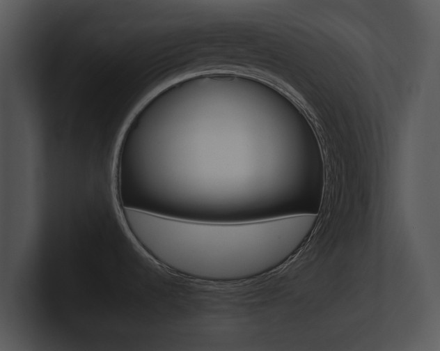X0000100891536200806240958