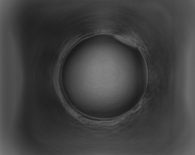 X0000100890001200806241241