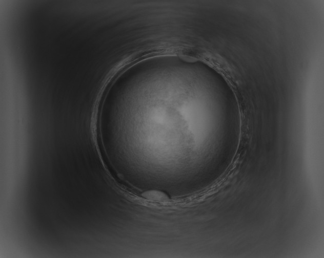 X0000100890003200806241241