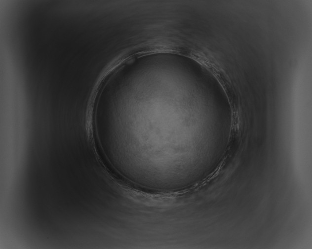X0000100890004200806241241