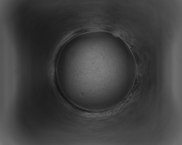 X0000100890005200806241241
