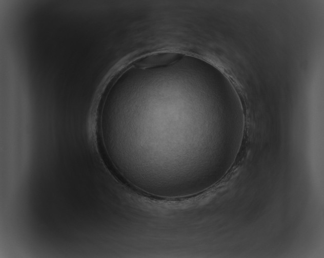 X0000100890007200806241241