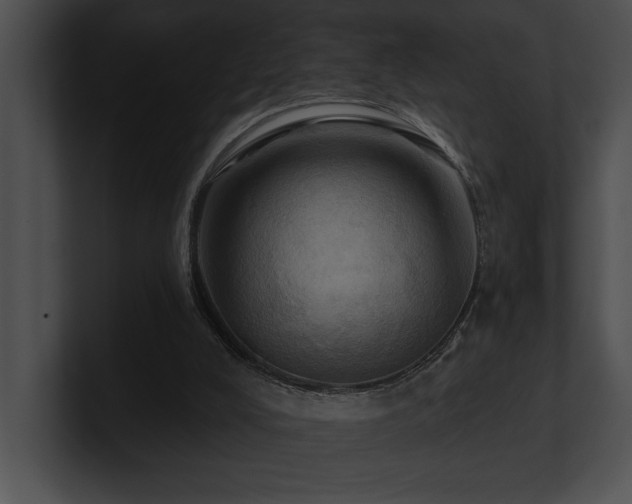 X0000100890008200806241241