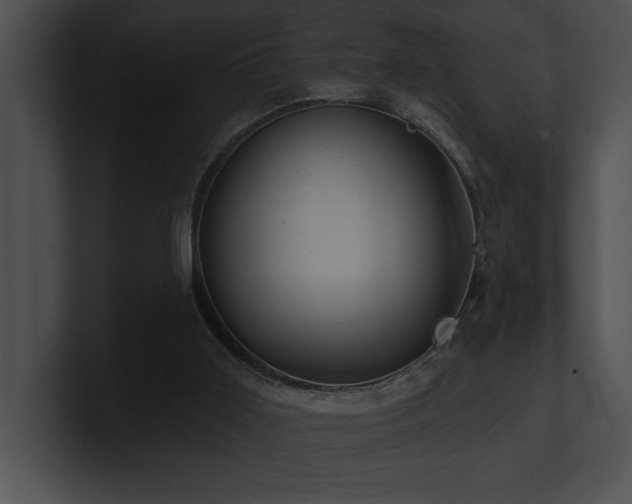X0000100890011200806241241