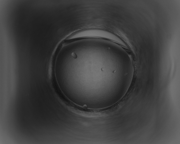 X0000100890012200806241241