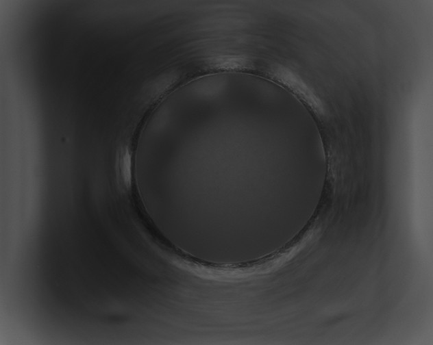X0000100890014200806241241