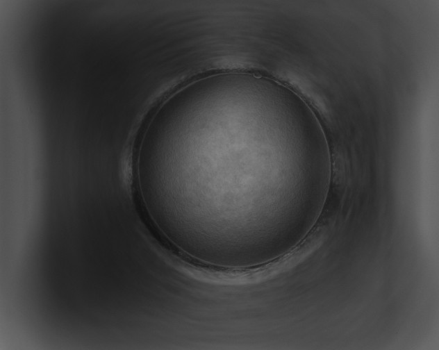 X0000100890015200806241241