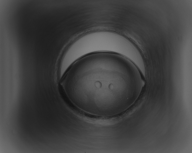 X0000100890016200806241241