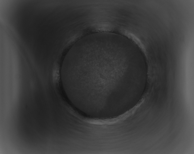 X0000100890017200806241241