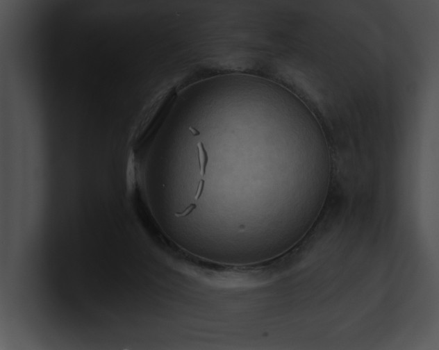 X0000100890020200806241241