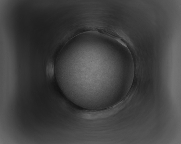 X0000100890021200806241241