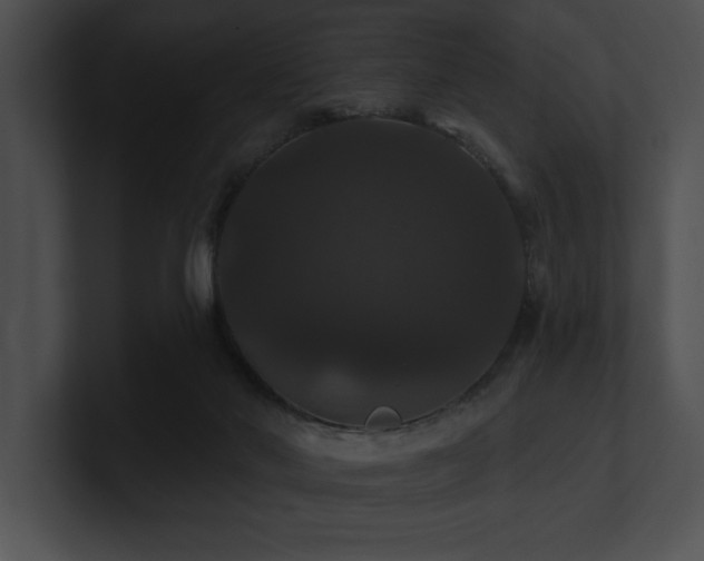 X0000100890022200806241241