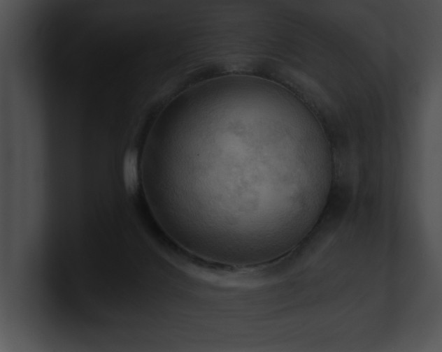 X0000100890028200806241241