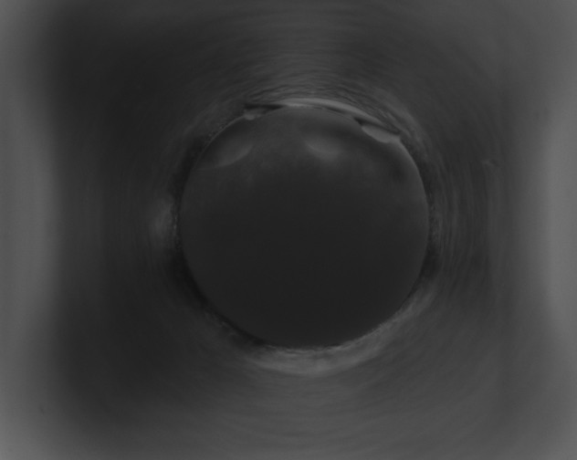 X0000100890029200806241241