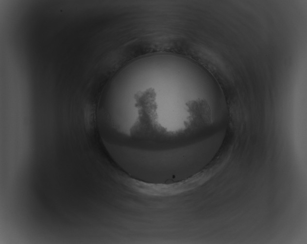 X0000100890034200806241240