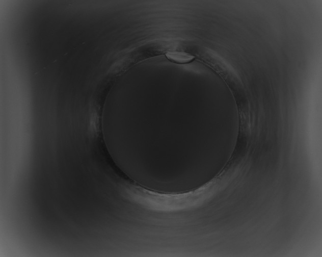 X0000100890035200806241240