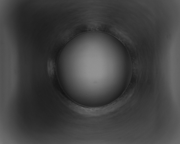 X0000100890038200806241240