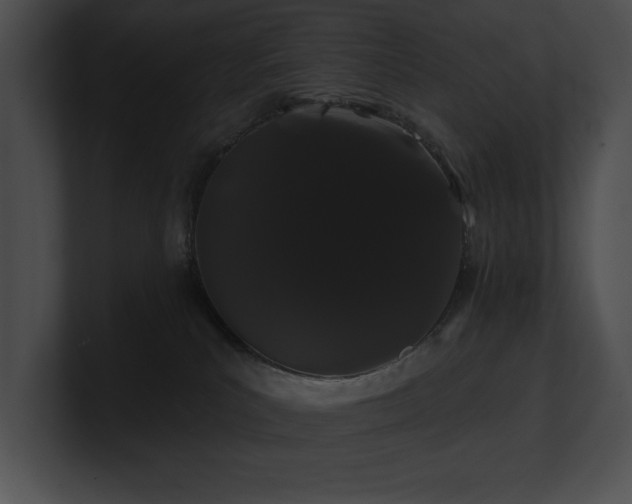 X0000100890039200806241240