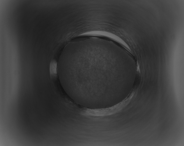 X0000100890041200806241240