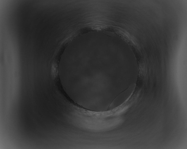 X0000100890043200806241240