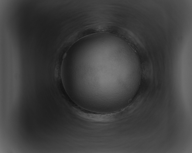 X0000100890044200806241240