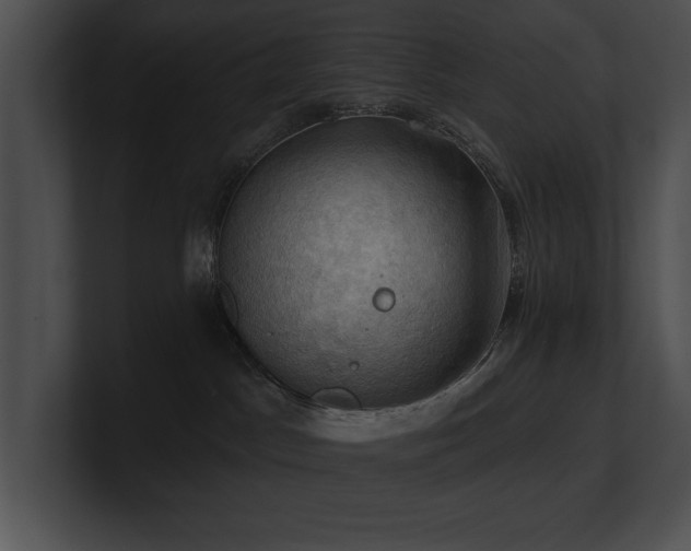 X0000100890045200806241240