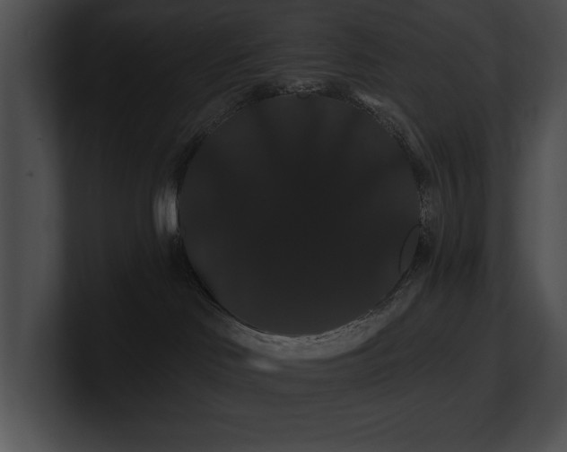 X0000100890046200806241240